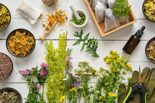 Les plantes qui prennent soin de la santé mentale