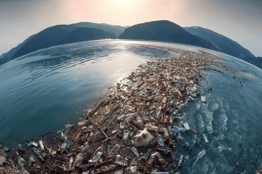 Océan Atlantique pollué par les déchets marins